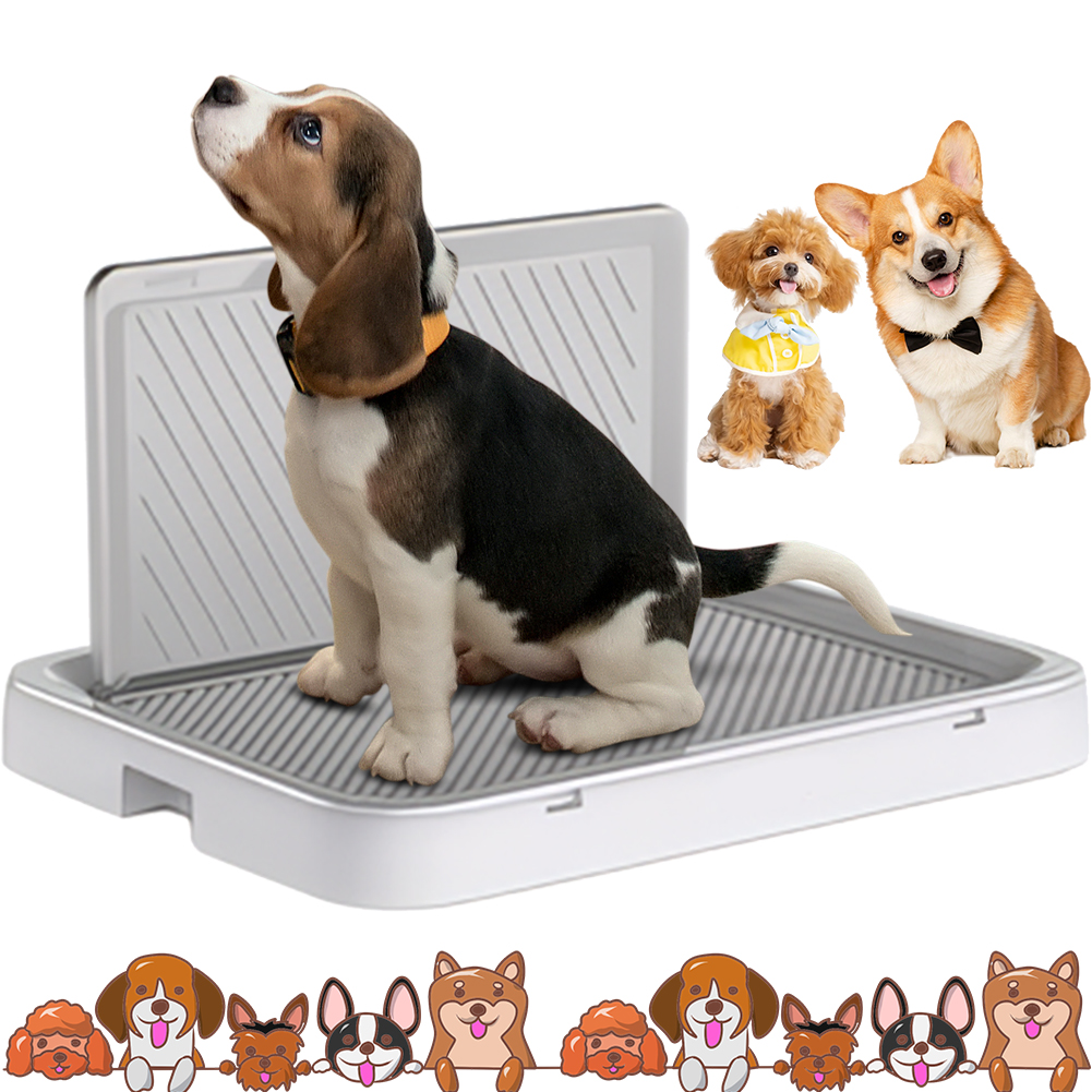 Dog Potty Tray with Pee Wall T – обзор и цена Sprinkler Splash Pad