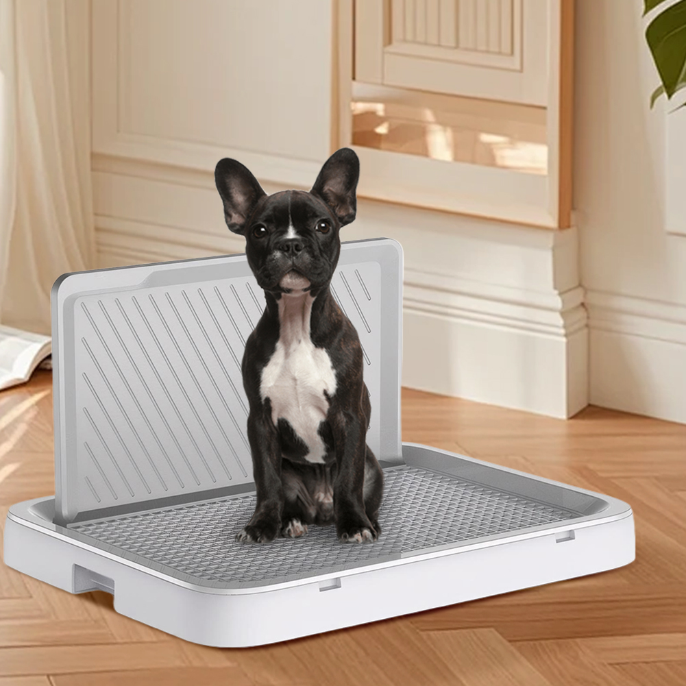 Dog Potty Tray with Pee Wall T – обзор и цена Sprinkler Splash Pad